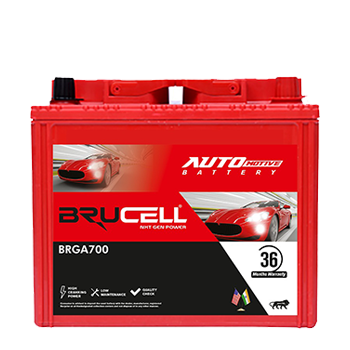 automotive Batteries